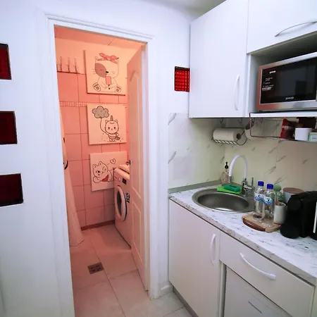 Happy Calea Victoriei Apartment